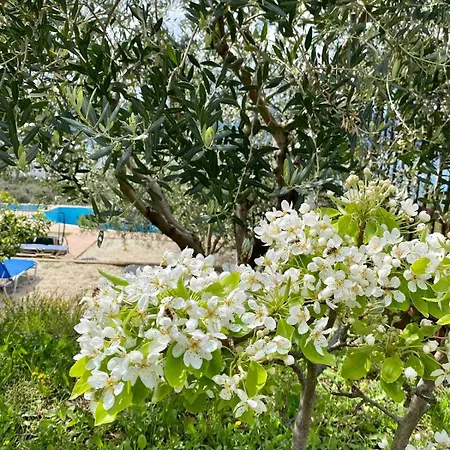 Rama Radhime Ap2 * Vlora