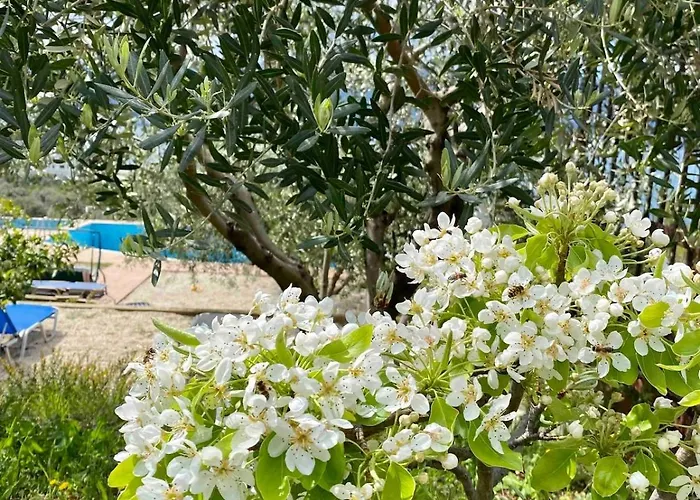 Rama Radhime Ap2 * Vlorë